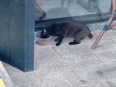 -星巴克(成都科学城店)