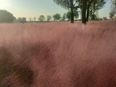 -汉长安城未央宫国家考古遗址公园