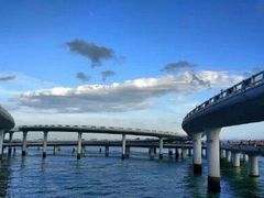 -演武大桥观景平台