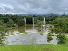 -中国科学院西双版纳热带植物园