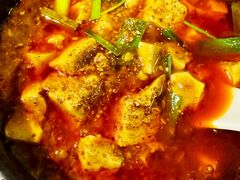 -陈麻婆豆腐总店