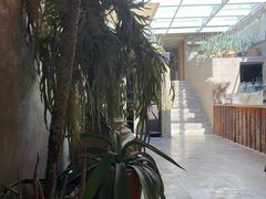 -三秋舍·梦幻岛(小西路店)