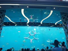 -瑞德姆美人鱼海底演艺主题餐厅(亚龙湾店)