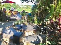 -乌托邦酒吧和餐厅