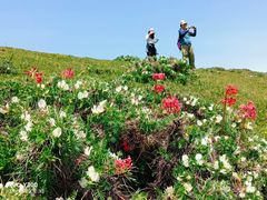 -芦芽山旅游度假区