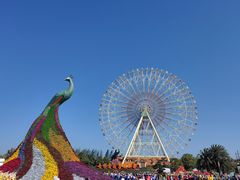 -七彩云南欢乐世界