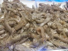 -皇家园林酒店
