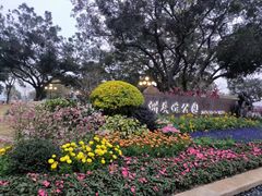 -洲头咀公园