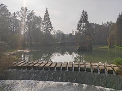 -桤木河湿地公园