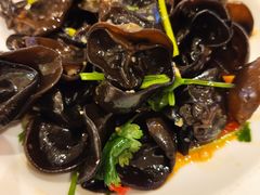 爽口黑木耳-锦粤宫·精致粤菜(深圳北站店)