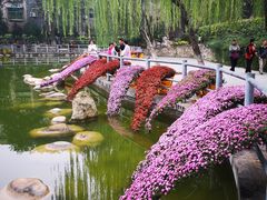 -莲湖公园