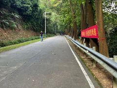 -风云岭森林公园