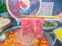 -渝大龙重庆火锅(温泉月亮湾店)