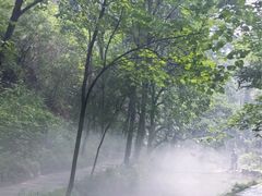 -云丘山景区
