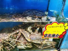 -蚝专家(北滘店)
