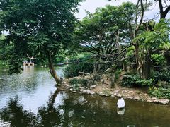 -清迈夜间动物园