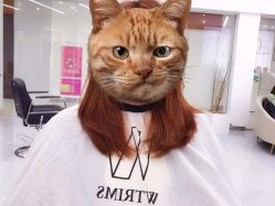 -TRIMS HAIR 修剪造型·烫染接发