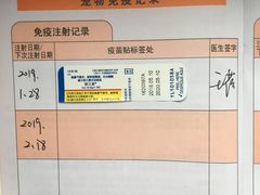 -艾贝尔宠物诊疗
