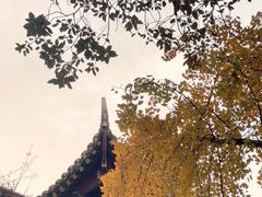 -四川大学(华西校区)