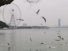 -无锡蠡湖国家湿地公园-蠡园