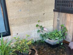 -老李家土菜馆·安吉地标美食