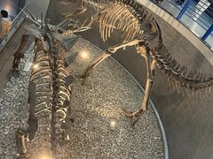 -国家自然博物馆