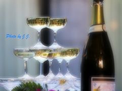 -御花园·粤菜·海鲜火锅(中山公园店)