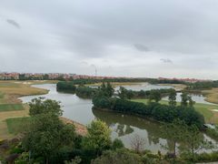 -棕榈滩海景高尔夫俱乐部