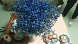 -净妍美肌专业净毛嫩肤连锁机构