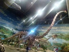 -自贡恐龙博物馆