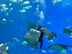 -珠海长隆海洋王国