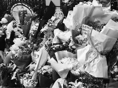 -上海市世外小学