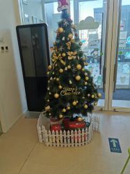 -青苗儿童口腔(长楹天街购物中心)