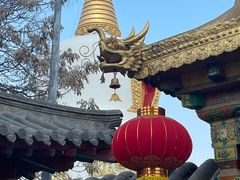 -护国法轮寺