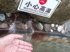 -三江森林温泉度假区