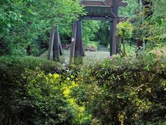 -杭州半山国家森林公园