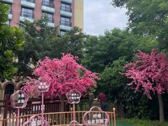 -熊猫自助餐厅.萌趣城堡(长隆熊猫酒店)