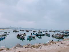 -东海章鱼馆(恒瑞街店)