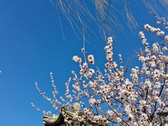 -颐和园