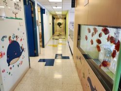 点击看大图 -杭州贝瑞斯美华妇儿医院·早孕·产检·儿科