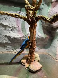 -Zoolung Zoolung动物主题公园(海信广场店)