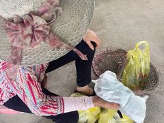 -马陆小张葡萄园农家乐