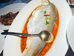 -醉庐·新上海菜(南京西路店)