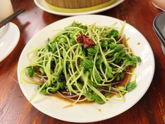 -少林寺欢喜地素斋馆