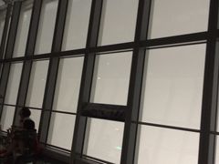 -东方明珠国际旅行社有限公司