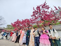 -第壹宝贝儿童教育中心(朝阳校区)