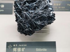 -中国地质博物馆