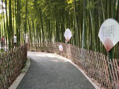 -陈家山荷花公园