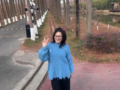 -黄海国家森林公园