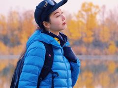 -金塔沙漠胡杨林景区